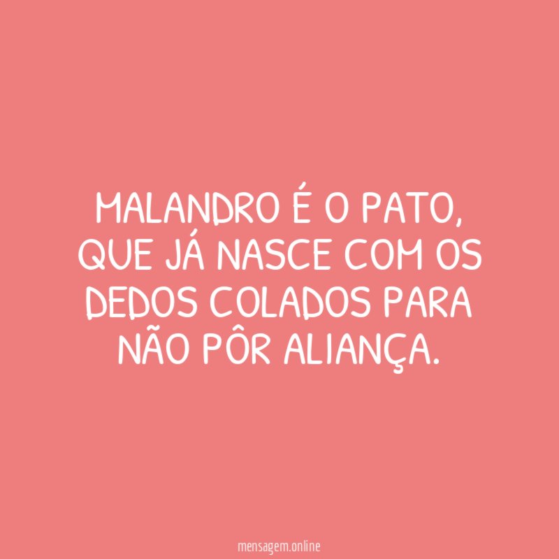 Pato malandro