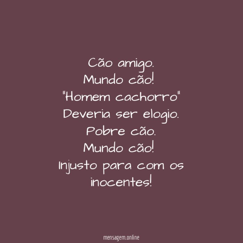Cão amigo
