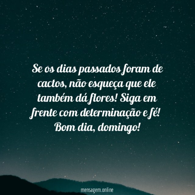 O cacto dá flores