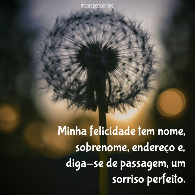 Minha felicidade tem nome