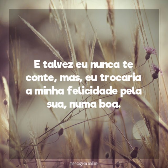 E talvez eu nunca te conte