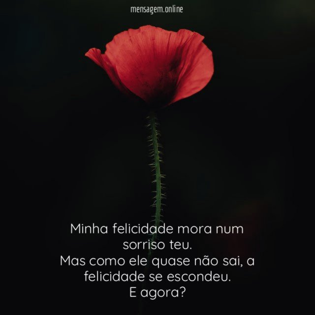 Minha felicidade mora num sorriso teu