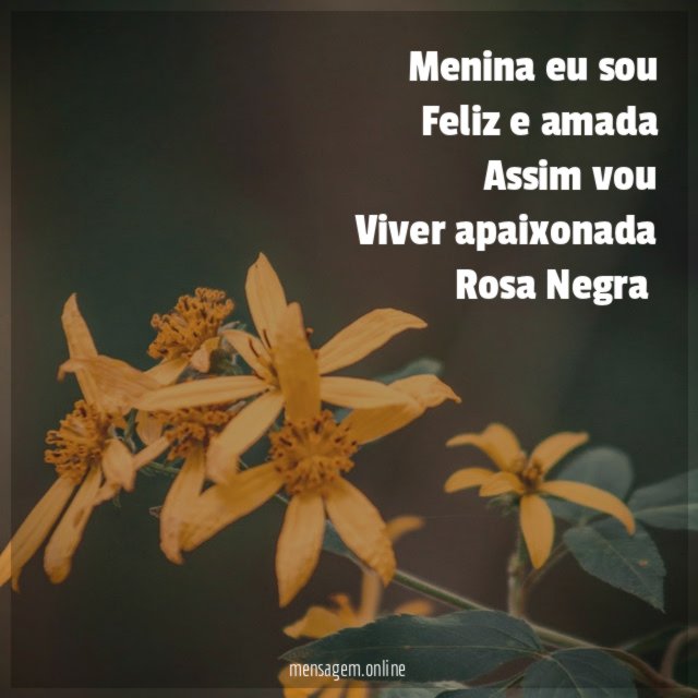 Menina eu sou
Feliz e amada
Assim vou
Viver apaixonada