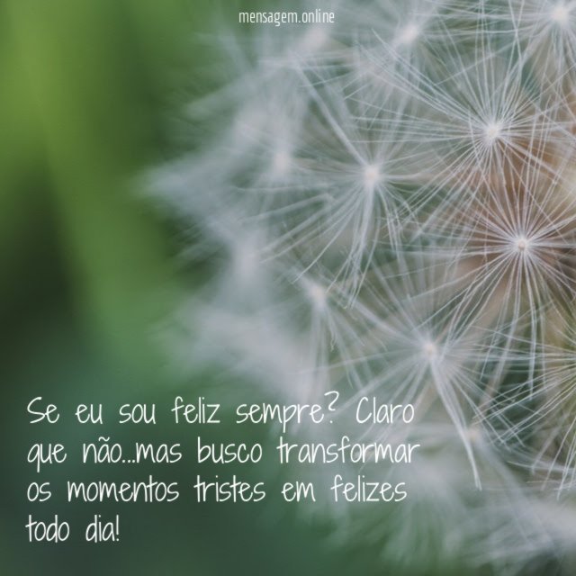 Se eu sou feliz sempre