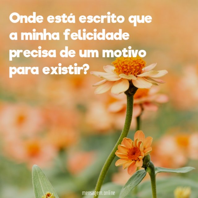 Onde está escrito que a minha felicidade precisa