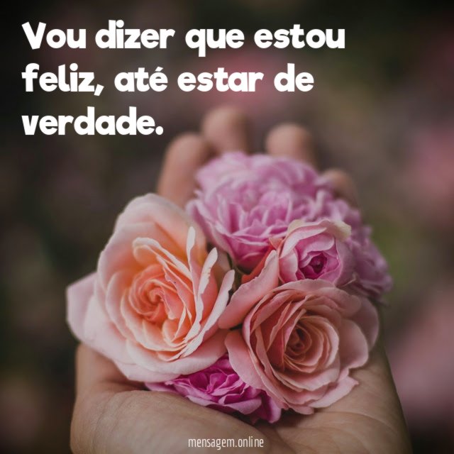 Vou dizer que estou feliz