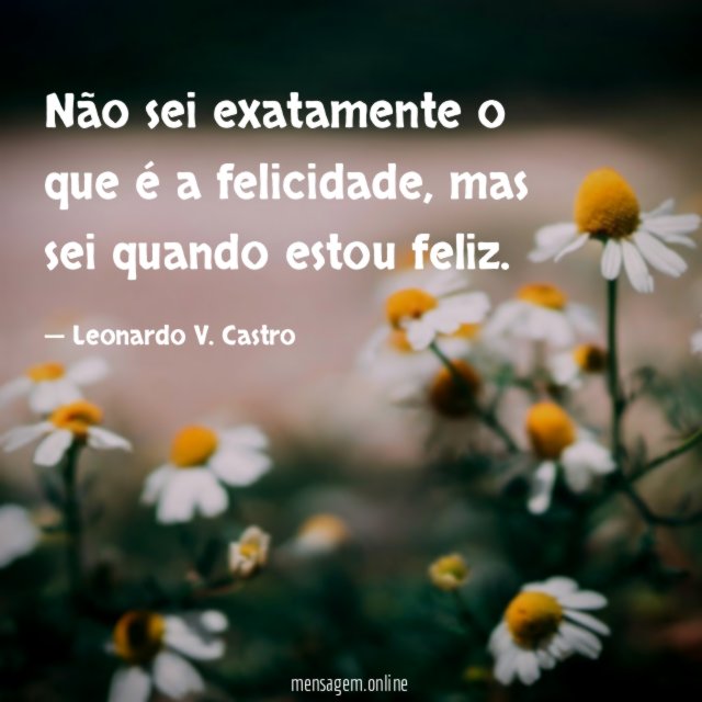 Não sei exatamente o que é a felicidade