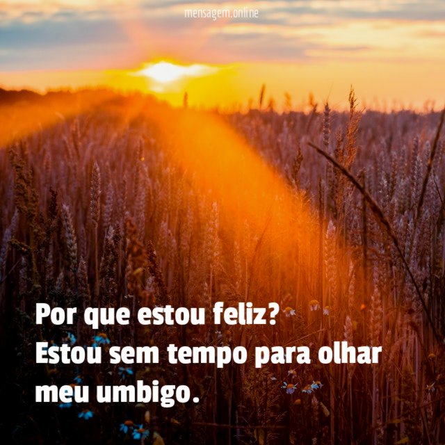 Por que estou feliz