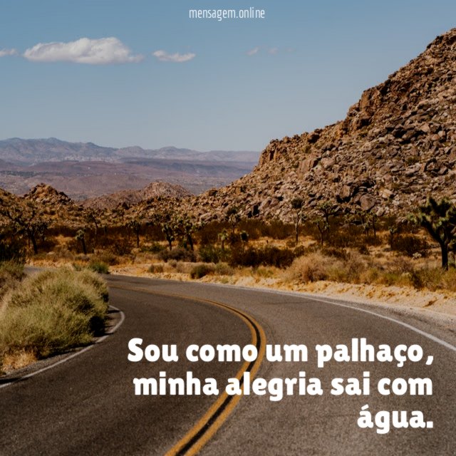 Sou como um palhaço