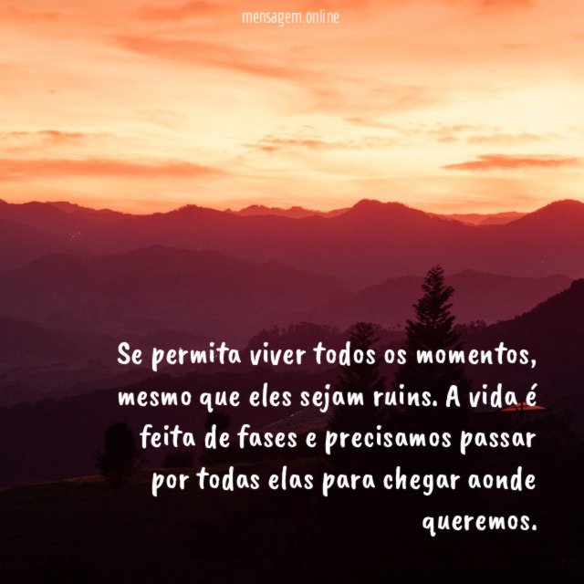 Viva os momentos