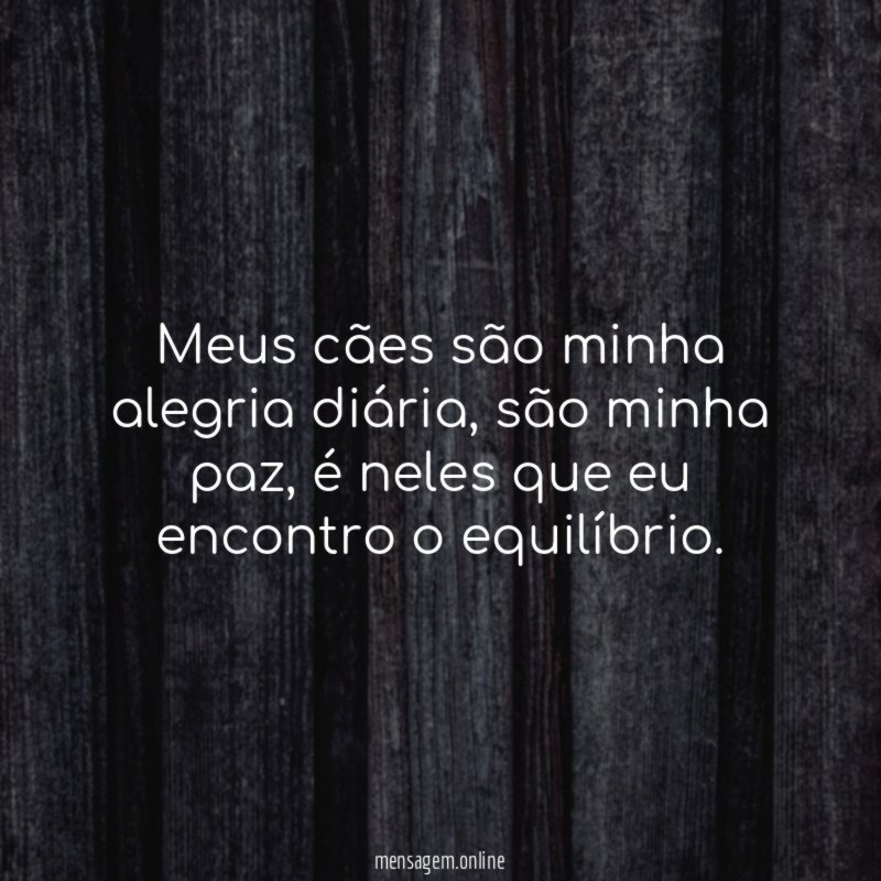 Meus cães são minha alegria diária