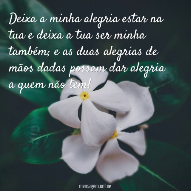 Deixa a minha alegria estar na tua