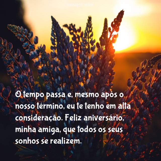 Feliz aniversário, minha amiga!