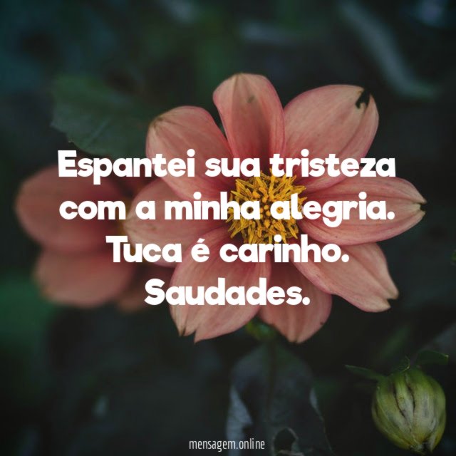 Espantei sua tristeza com a minha alegria