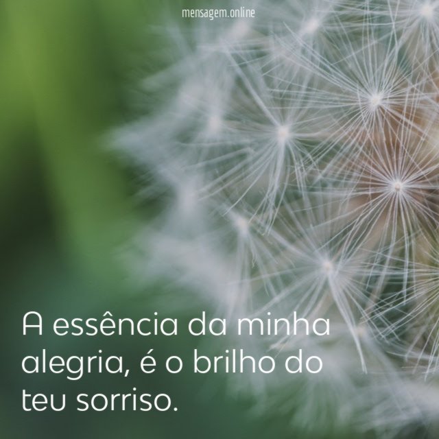 A essência da minha alegria