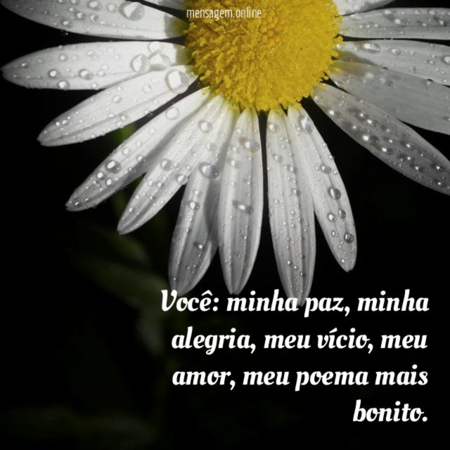Você