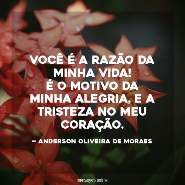 Você é a razão da minha vida