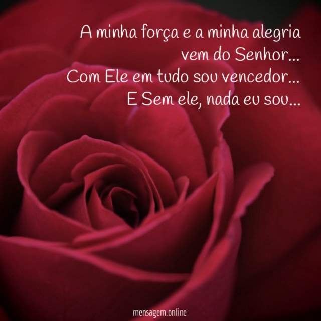 A minha força e a minha alegria vem do Senhor