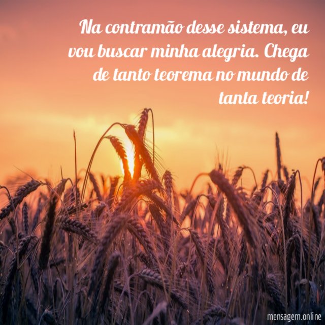 Na contramão desse sistema