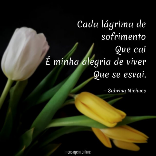 Cada lágrima de sofrimento Que cai É minha alegria de