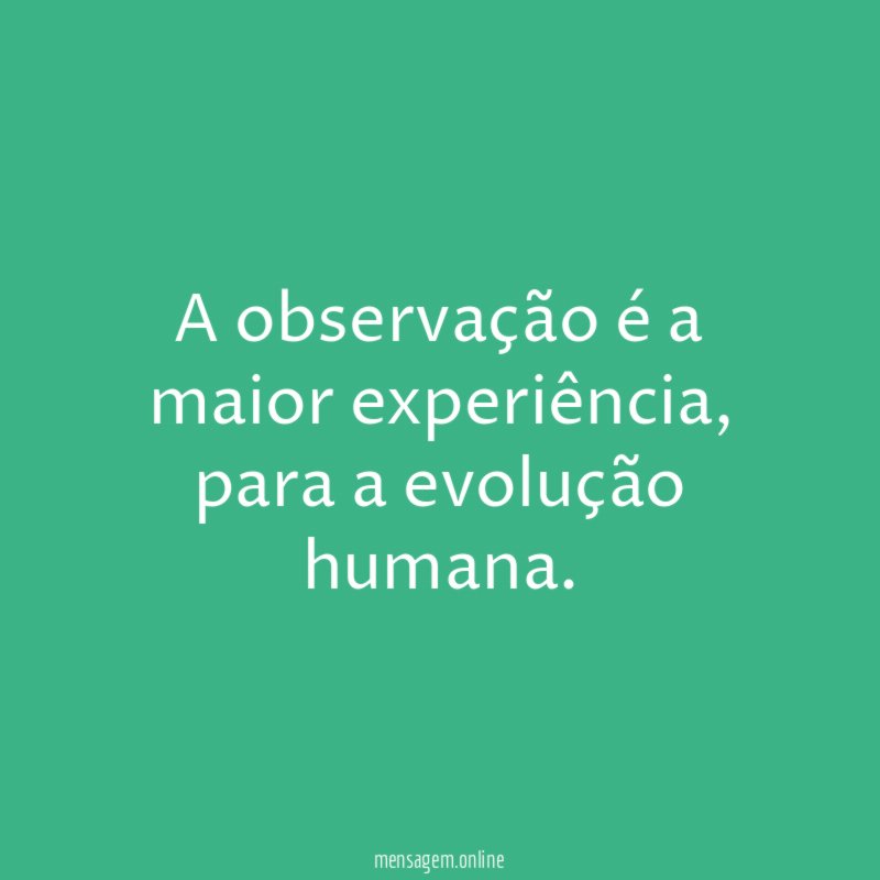 A observação é a maior experiência