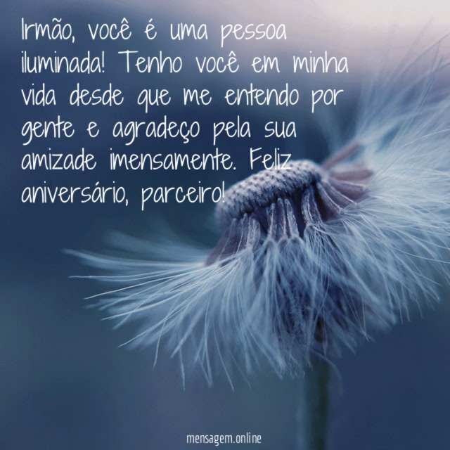 Parabéns pelo seu dia, irmão!