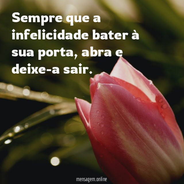 Sempre que a infelicidade bater à sua porta