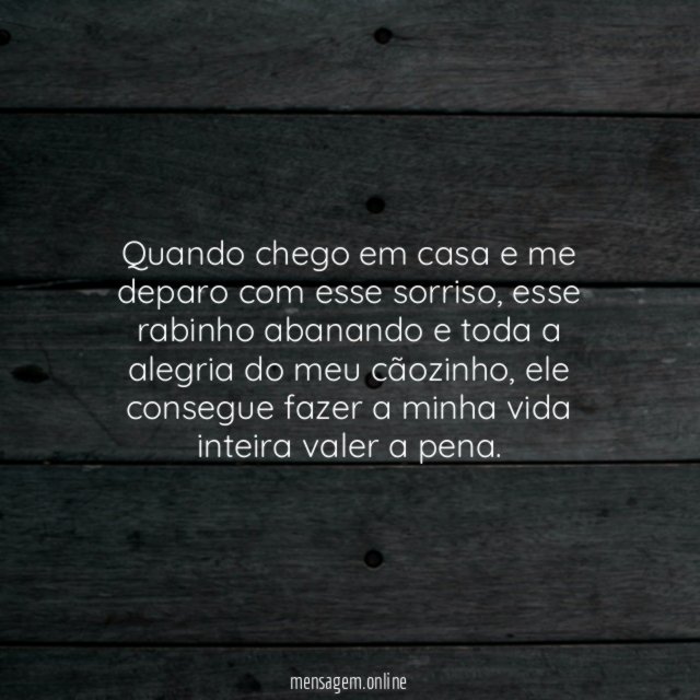 Alegria do dia