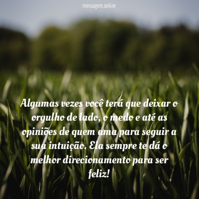 Siga a sua intuição!
