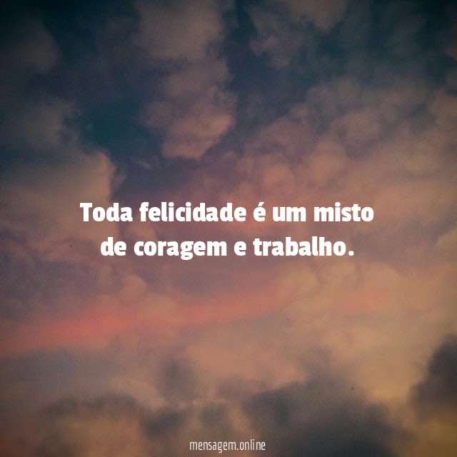 Toda felicidade é um misto de coragem e trabalho