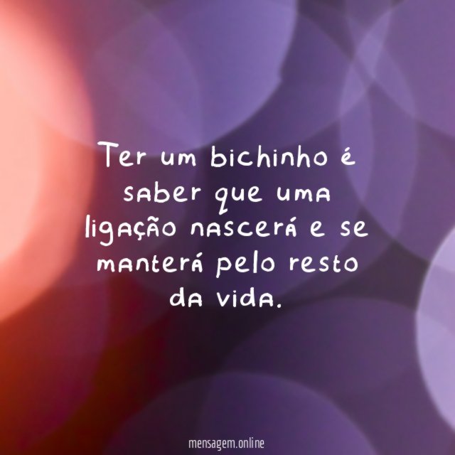 Conexão eterna