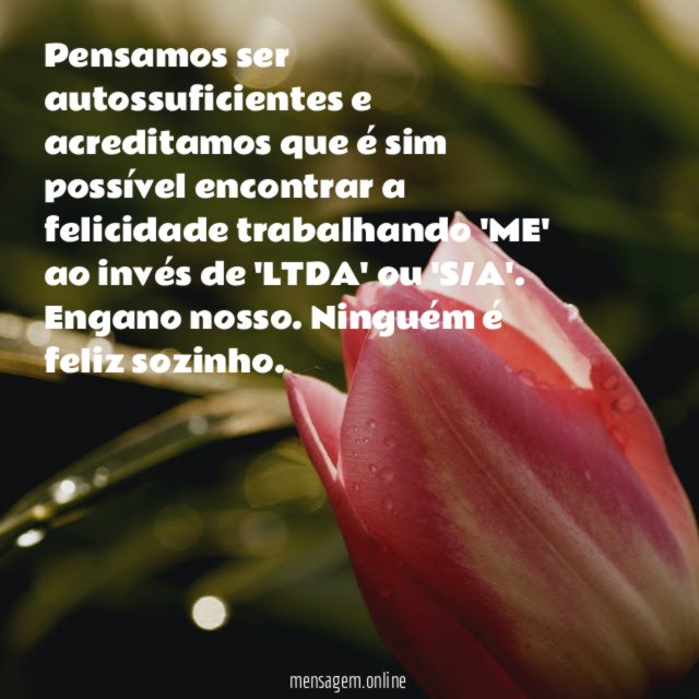 Pensamos ser autossuficientes e acreditamos que é sim