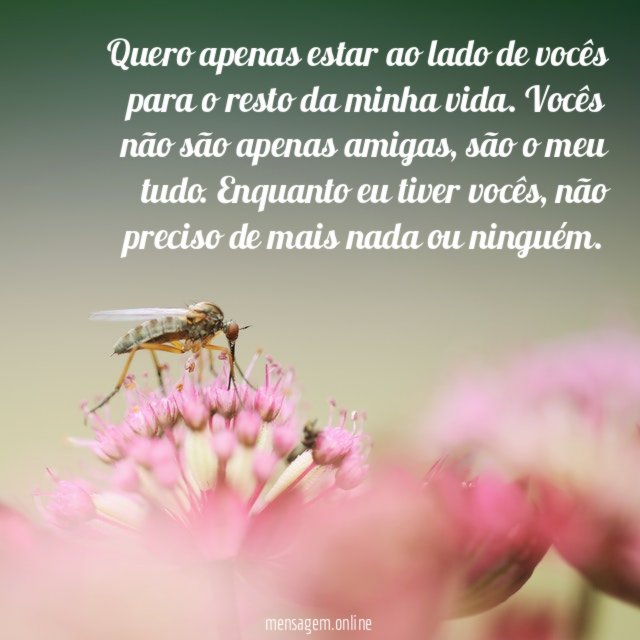 Se tenho vocês, tenho tudo!