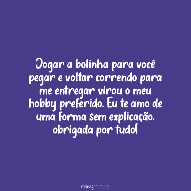 Meu hobby é brincar com você