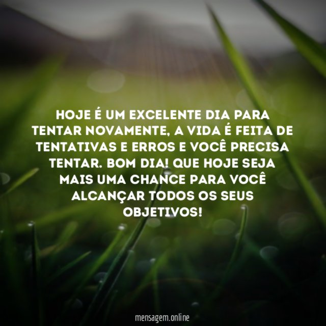 Hoje é um excelente dia para tentar