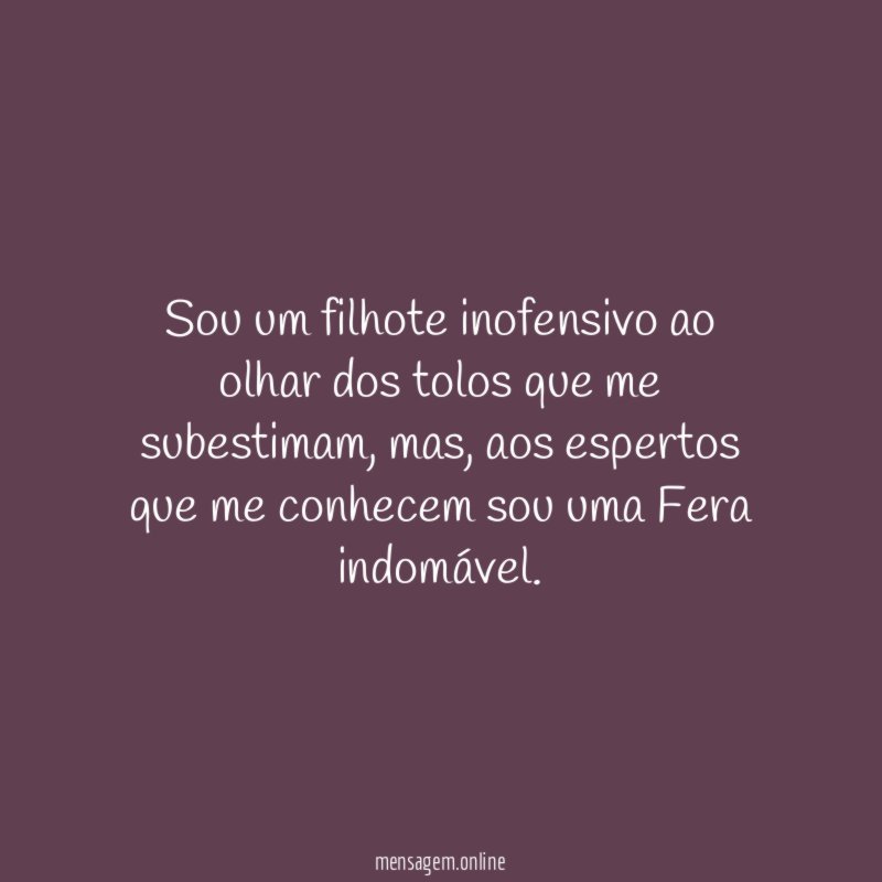 Sou um filhote inofensivo ao olhar dos tolos que me subestimam