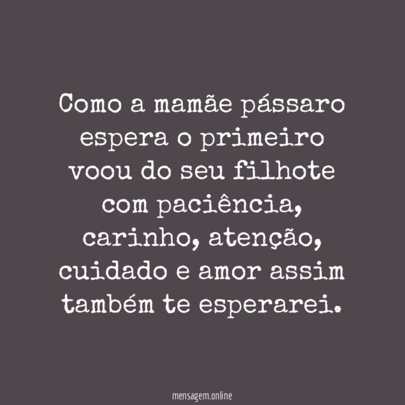 Como a mamãe pássaro espera o primeiro voou