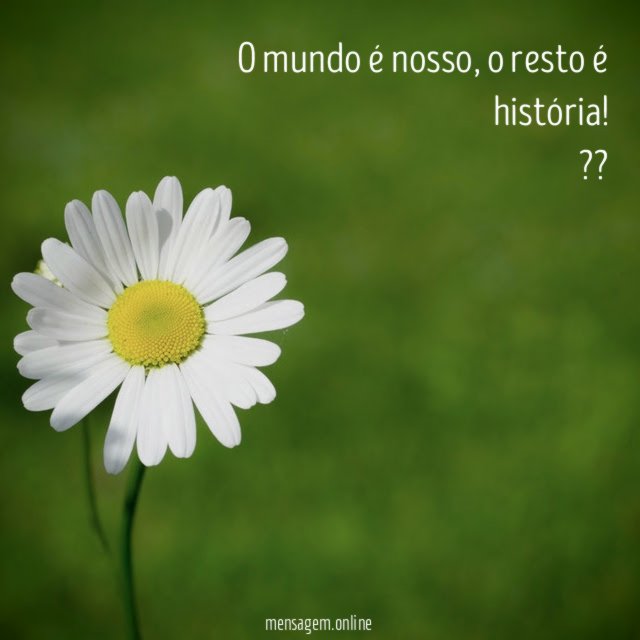 O mundo é nosso