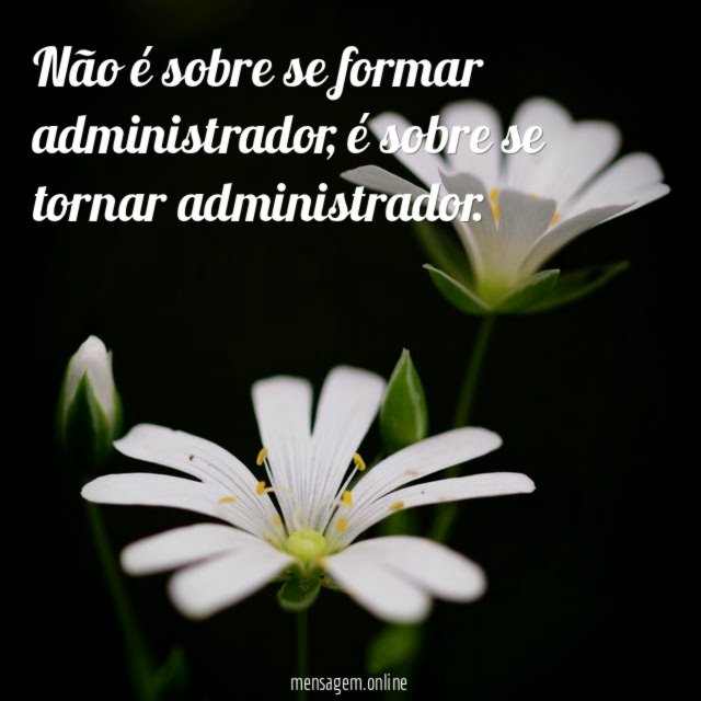 Não é sobre se formar administrador