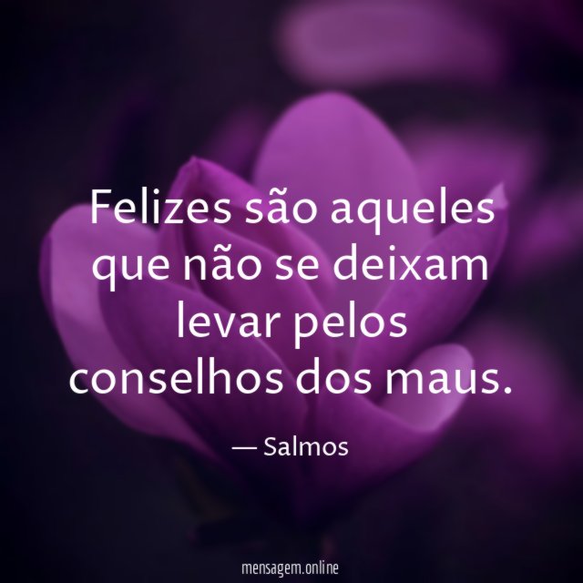 Felizes são aqueles que não se deixam levar