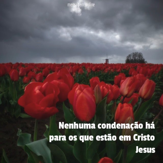 Nenhuma condenação há para os que estão em Cristo Jesus