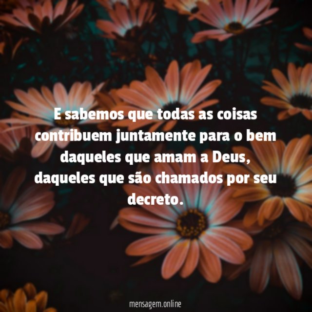 E sabemos que todas as coisas contribuem juntamente