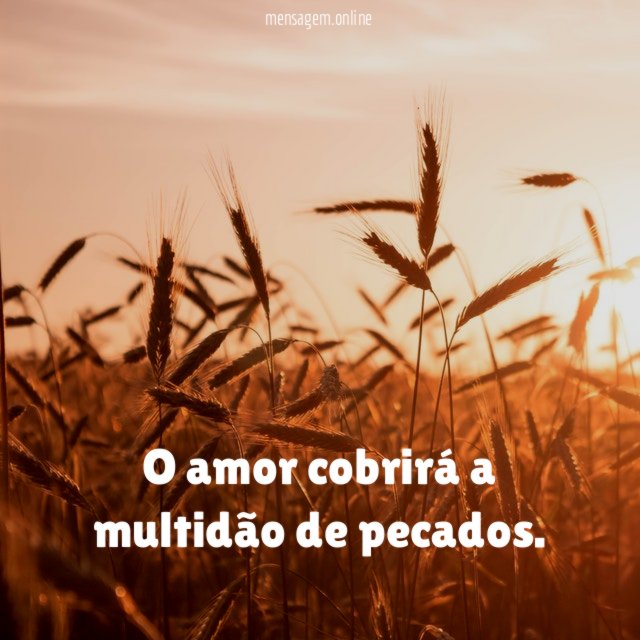 O amor cobrirá a multidão de pecados