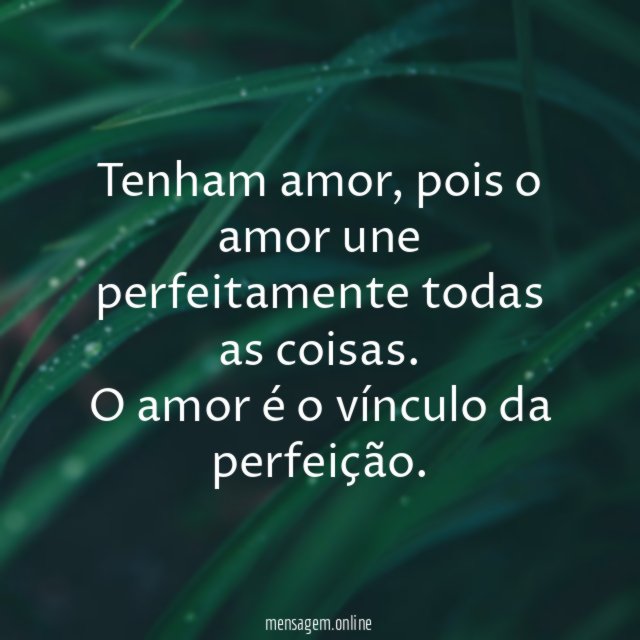 Tenham amor