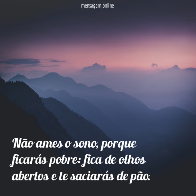 Não ames o sono