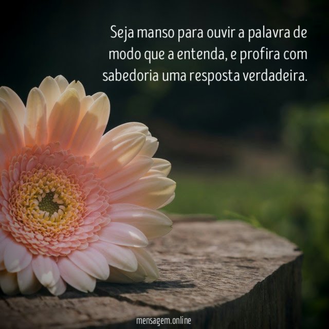 Seja manso para ouvir a palavra de modo que a entenda