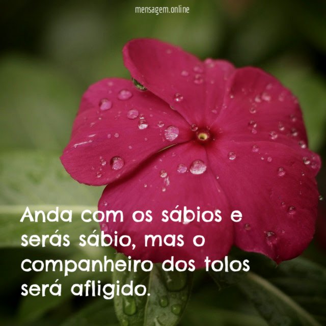 Anda com os sábios e serás sábio