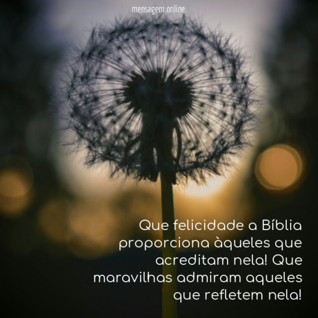 Que felicidade a Bíblia proporciona àqueles que acreditam nela