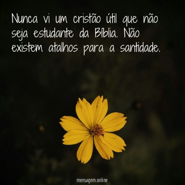 Nunca vi um cristão útil que não seja