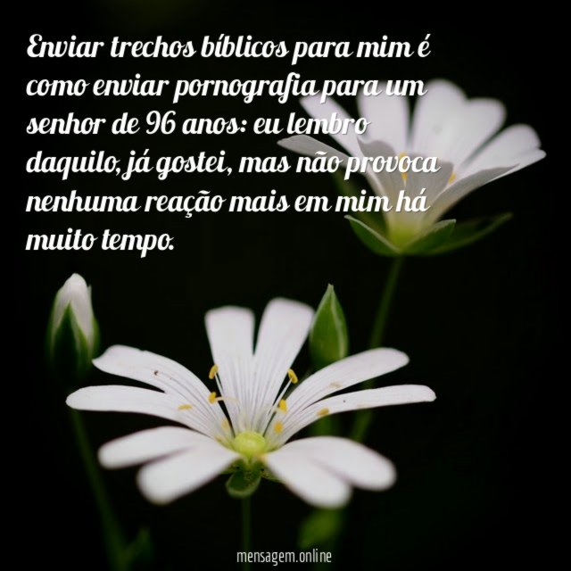 Enviar trechos bíblicos para mim é como enviar